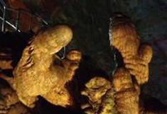 武隆芙蓉洞：生命之源