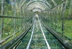 天府花溪谷：玻璃旱滑道