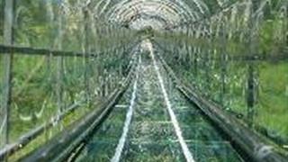 天府花溪谷：玻璃旱滑道