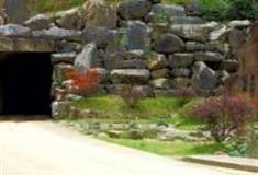 温州文成猴王谷景区怎么玩？附游玩路线