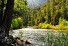 重庆铁山坪森林公园怎么玩？附游玩路线