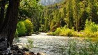 重庆铁山坪森林公园怎么玩？附游玩路线