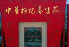 西宁中华枸杞养生苑怎么玩？附游玩路线