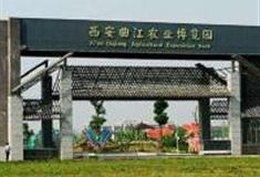 西安曲江农业博览园怎么玩？附游玩路线