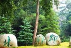 桂林动物园怎么玩？附游玩路线