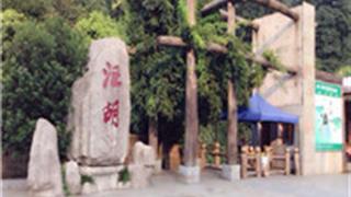 景德镇汪湖生态游览区怎么玩？附游玩路线