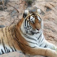 长沙生态动物园19208