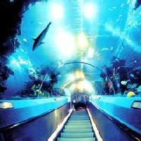 广州海洋馆17784