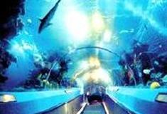 广州海洋馆：海底隧道