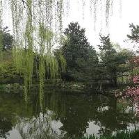 杭州西湖风景名胜区友好公园 杭州西湖风景名胜区友好公园