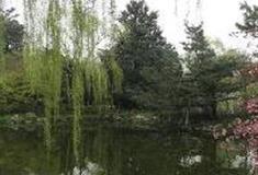 杭州西湖风景名胜区：友好公园