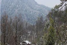 杭州灵隐景区怎么玩？附游玩路线