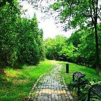 北京奥林匹克公园10262