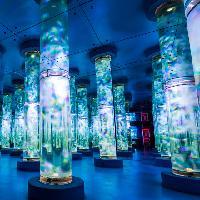 江苏张家港梦幻海洋王国19675