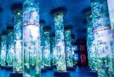 江苏张家港梦幻海洋王国：梦幻水母宫