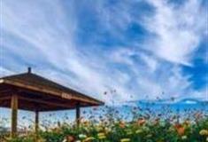 石家庄亦禾观光园怎么玩？附游玩路线