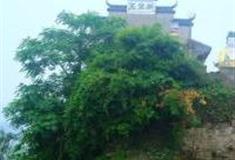 台州东山公园怎么玩？附游玩路线