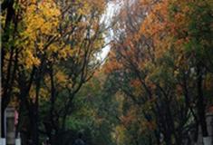 青岛八大关风景区怎么玩？附游玩路线