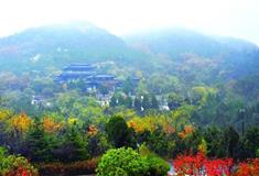 青岛琅琊台风景名胜区怎么玩？附游玩路线