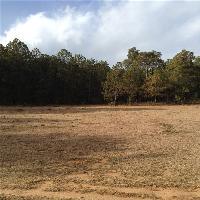 拉市海湿地公园会情园