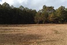 拉市海湿地公园：会情园