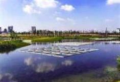 上海鹦鹉洲生态湿地公园怎么玩？附游玩路线