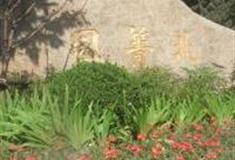 上海北菁园怎么玩？附游玩路线