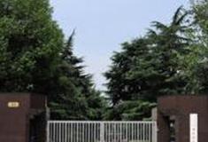 上海宋庆龄陵园怎么玩？附游玩路线