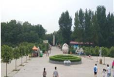 郑州金鹭鸵鸟园怎么玩？附游玩路线