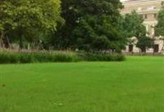 上海人民公园怎么玩？附游玩路线