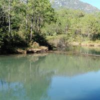 拉市海湿地公园19305