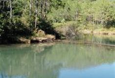 拉市海湿地公园：姊妹湖