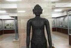 北京中医药博物馆怎么玩？附游玩路线