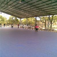 上海共青国家森林公园17717