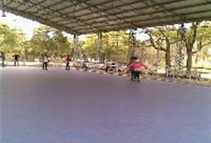 上海共青国家森林公园：共青溜冰场