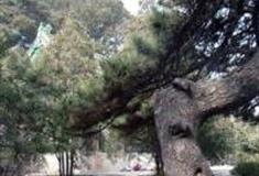 北京醇亲王墓怎么玩？附游玩路线