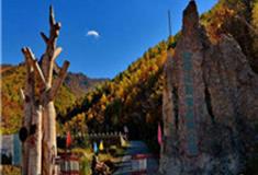 承德白草洼国家森林公园怎么玩？附游玩路线