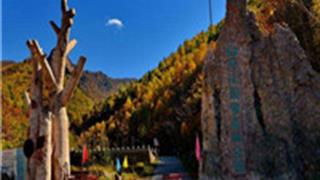 承德白草洼国家森林公园怎么玩？附游玩路线