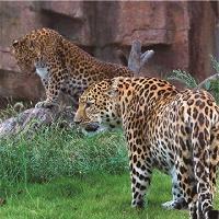 长沙生态动物园19193