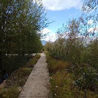 拉市海湿地公园摄影大道