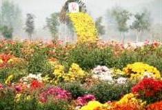 北京涵碧泉百菊园怎么玩？附游玩路线