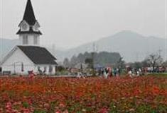 成都蔚然花海怎么玩？附游玩路线