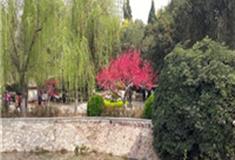 郑州紫荆山公园怎么玩？附游玩路线