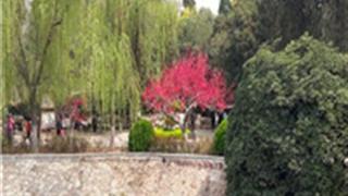 郑州紫荆山公园怎么玩？附游玩路线