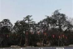 长沙沙湾公园怎么玩？附游玩路线