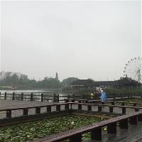 长沙洋湖湿地公园18317