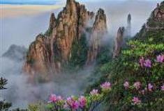 上饶三清山南清园景区怎么玩？附游玩路线