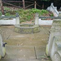 中泰天心佛文化旅游区19770