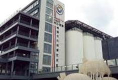 广州珠江琶醍啤酒文化创意艺术区怎么玩？附游玩路线