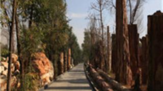 乌鲁木齐新疆古生态园怎么玩？附游玩路线